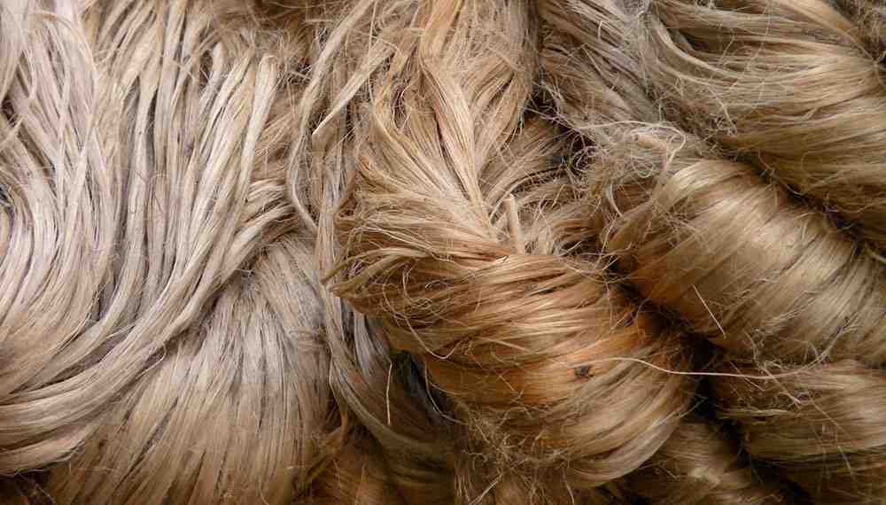 Jute