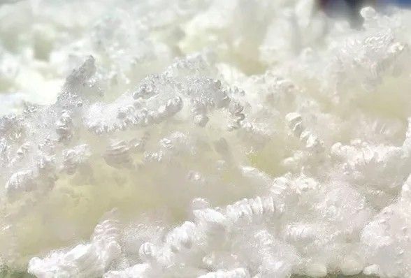 Polyester Fiber